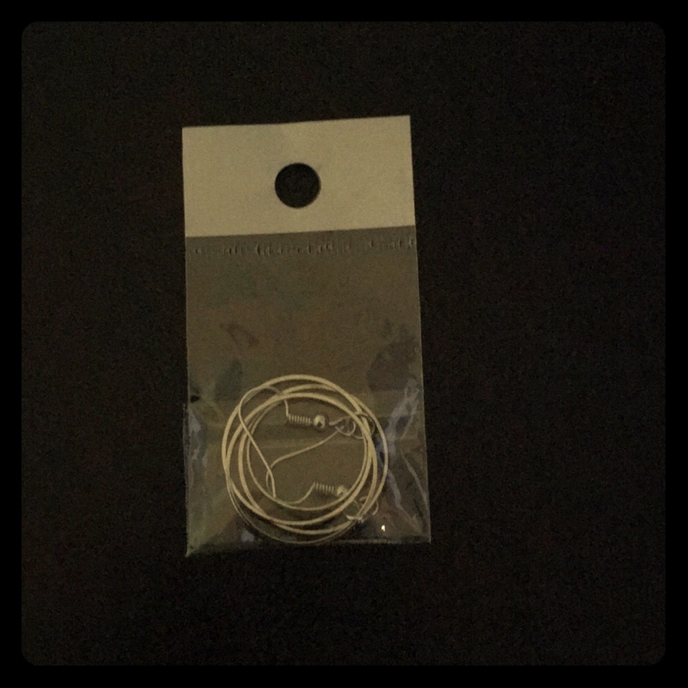 Never worn in bag cute hoop earrings